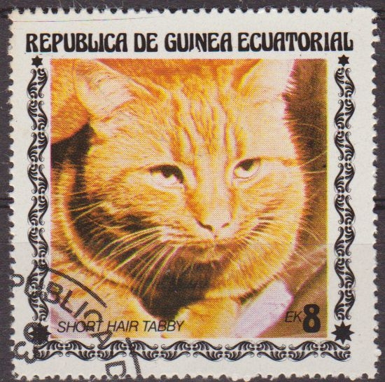 z vendido Guinea Ecuatorial 1976 Sello * Fauna Animales 04 Gato Short Hair Tabby 8ek Guinée Equatoriale Preobliteré Matasello de favor Preobliterado 